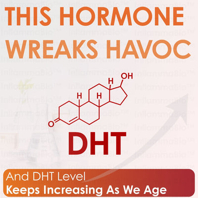 2. DHT Increases