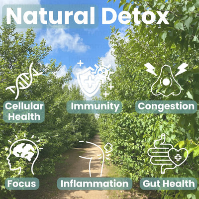 100% Organic 10 in 1 Soursop Synergy Drop