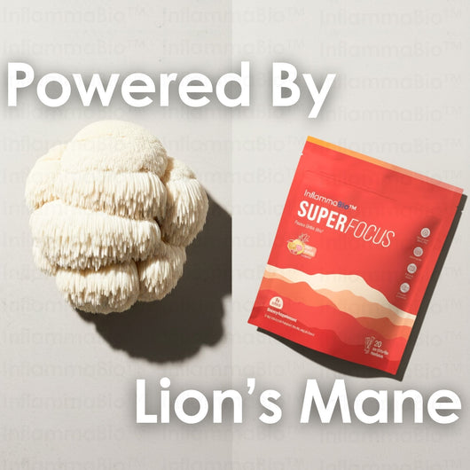 InflammaBio™ Super Focus - Deep Work Nootropic Formula