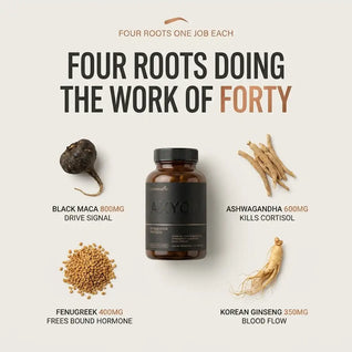 AXYOM. Black-Maca Stack